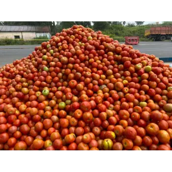 Natural Tomato 